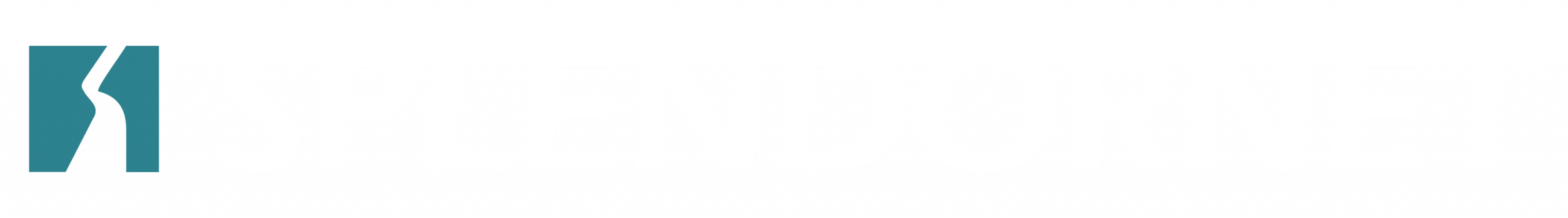 Splendornet Top Django Development Company In India splendornet-top-django-development-company-in-india