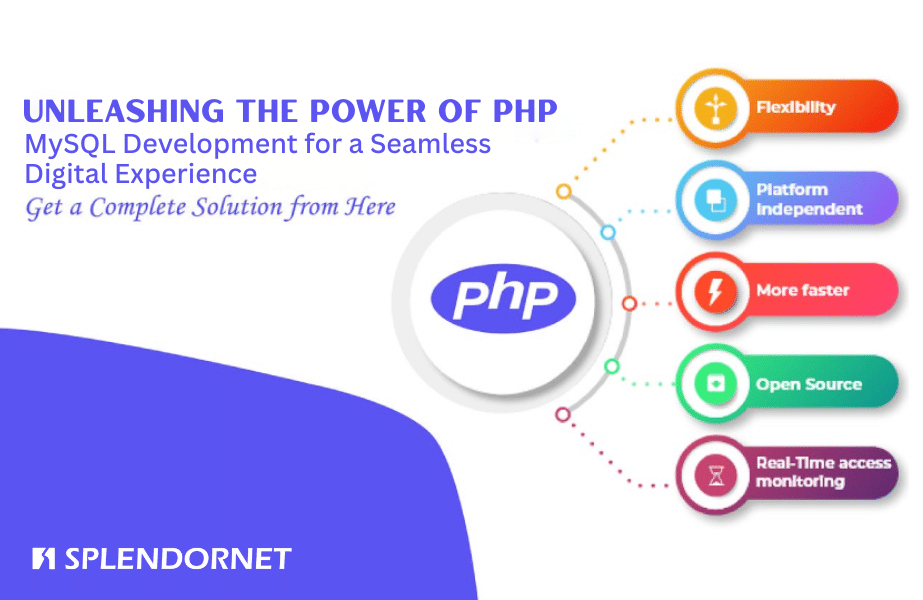 Unleashing the Power of PHP MySQL Development for a Seamless Digital Experience