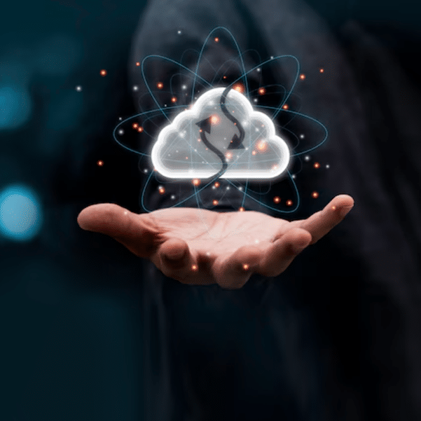 Software Companies in Warje Pune