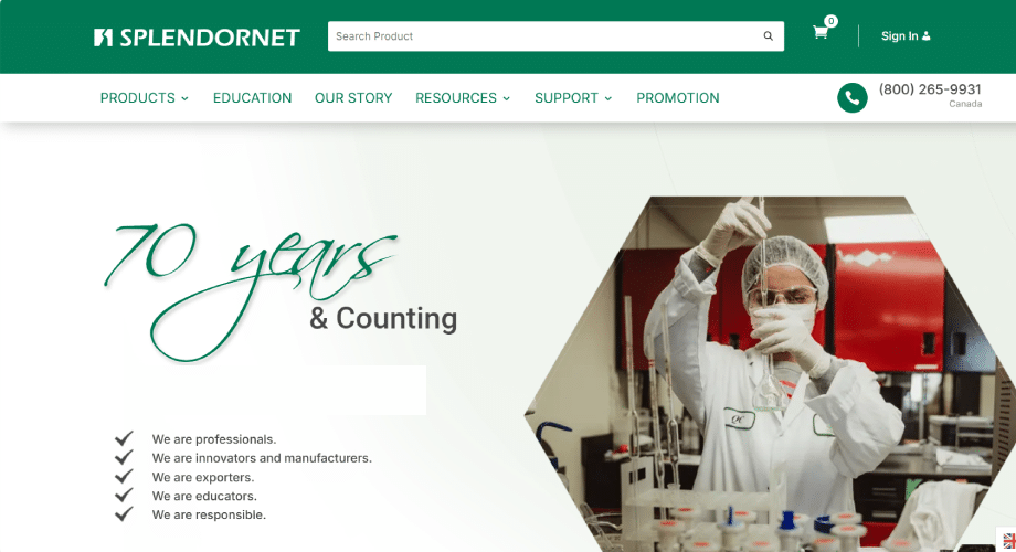 Web Development Services in Pune